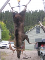 /album/galerie-de-photos-page-daccueil/img-1324-jpg/