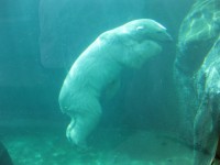 /album/galerie-de-photos-page-daccueil/img-1357-jpg/