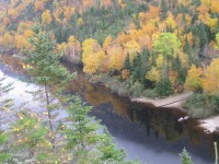 /album/galerie-de-photos-page-daccueil/img-1503-jpg1/