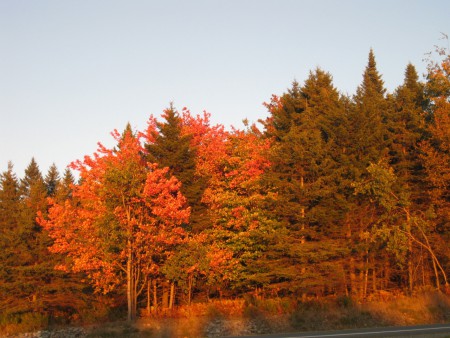 L'été Indien au Quebec